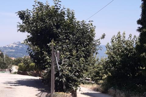 Дом Motovun, 160m2