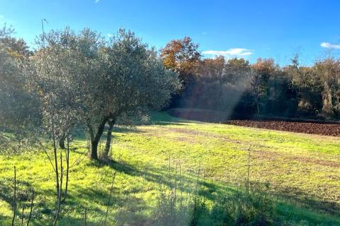 Земельный участок строительного назначения Čepljani, Umag, 773m2