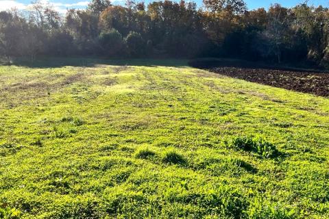 Земельный участок строительного назначения Čepljani, Umag, 773m2