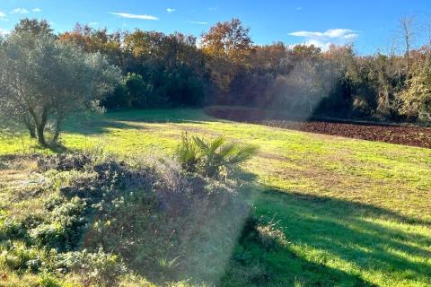 Земельный участок строительного назначения Čepljani, Umag, 773m2