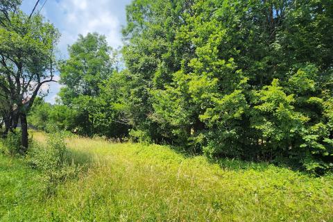 Bauland Kupjak, Ravna Gora, 1.426m2