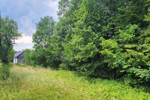 Bauland Kupjak, Ravna Gora, 1.426m2