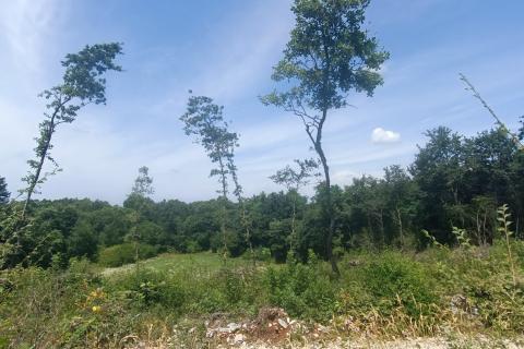 Building plot Sveti Lovreč, 871m2