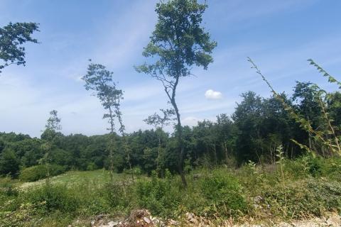 SVeti Lovreč. okolica, pravilno građevinsko zemljište