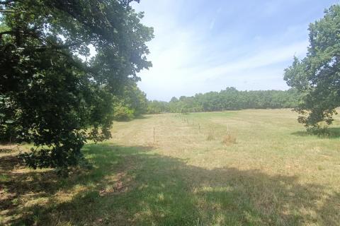 Building plot Sveti Lovreč, 6.850m2