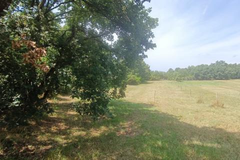 Building plot Sveti Lovreč, 6.850m2