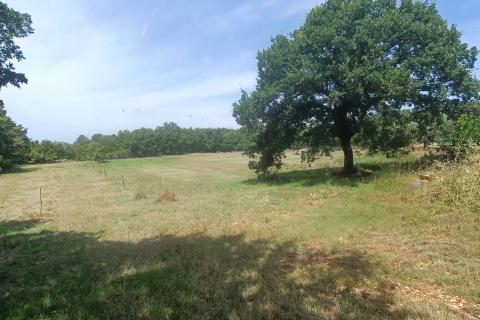 Building plot Sveti Lovreč, 6.850m2