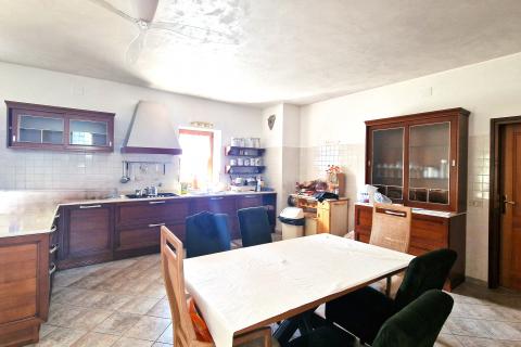 House Brtonigla, 600m2