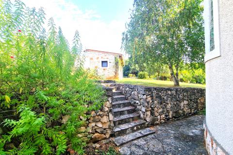 House Brtonigla, 600m2