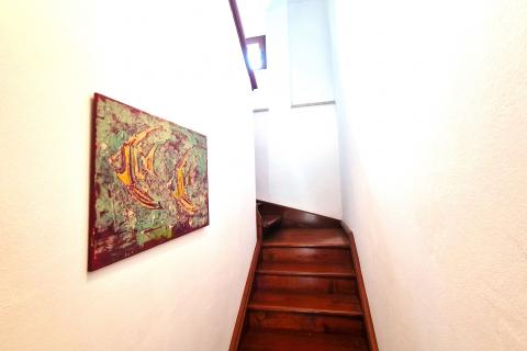 House Brtonigla, 600m2