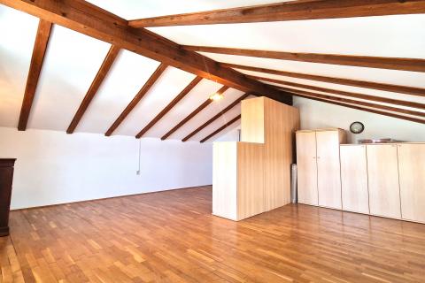 House Brtonigla, 600m2