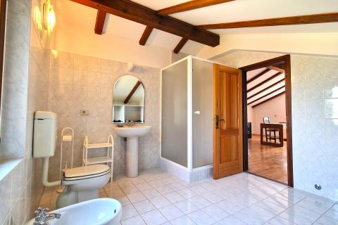 House Brtonigla, 600m2