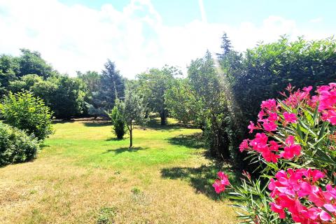 House Brtonigla, 600m2