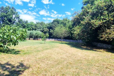 House Brtonigla, 600m2