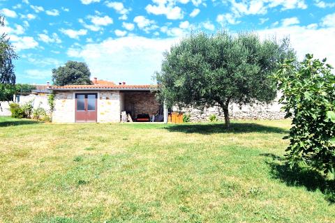 House Brtonigla, 600m2