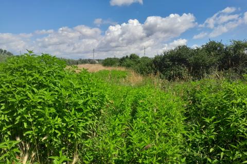 Stavbno zemljišče Medulin, 1.654m2