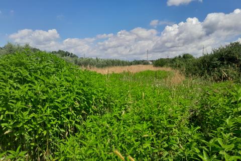 Stavbno zemljišče Medulin, 1.654m2