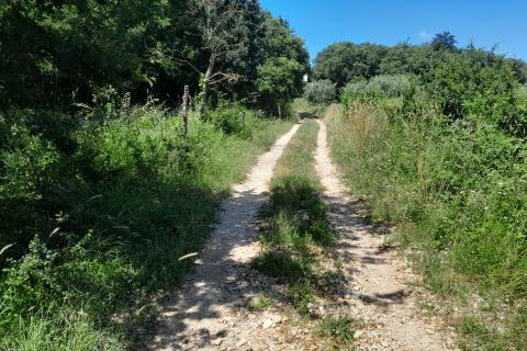 Stavbno zemljišče Medulin, 1.654m2