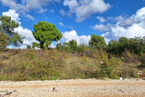 Stavbno zemljišče Kontešići, Sveti Lovreč, 15.987m2