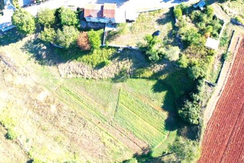 House Marići, Kanfanar, 6.188m2