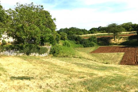 House Marići, Kanfanar, 6.188m2