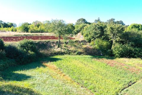 House Marići, Kanfanar, 6.188m2