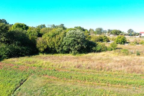 House Marići, Kanfanar, 6.188m2