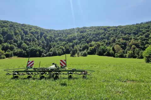 Hiša Blaževci, Vrbovsko, 370.000m2