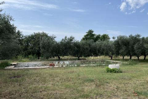 Umag, okolica - Samostojeća kuća na velikoj okućnici od 4 hektara