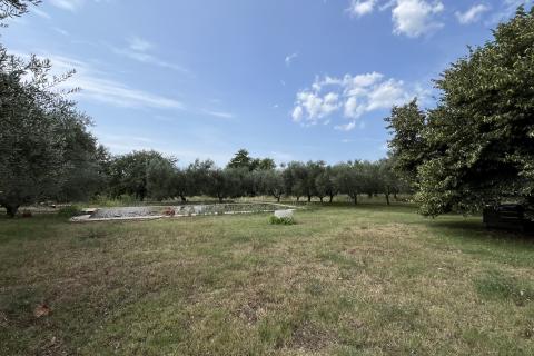 Umag, okolica - Samostojeća kuća na velikoj okućnici od 4 hektara