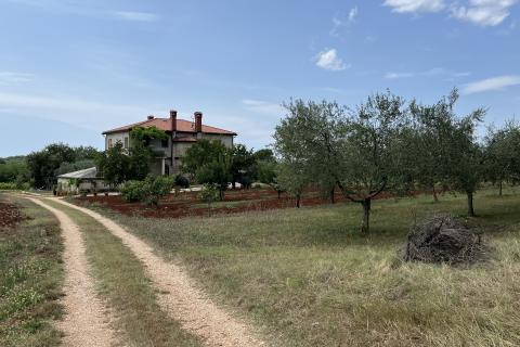 Umag, okolica - Samostojeća kuća na velikoj okućnici od 4 hektara