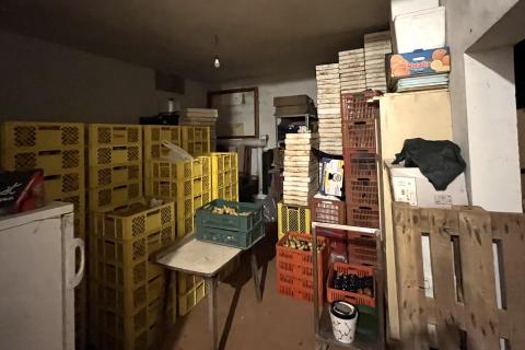 Umag, okolica - Samostojeća kuća na velikoj okućnici od 4 hektara