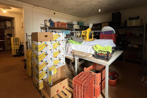 Umag, okolica - Samostojeća kuća na velikoj okućnici od 4 hektara