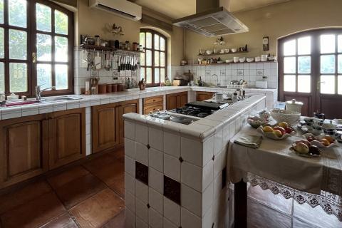 Umag, okolica - Samostojeća kuća na velikoj okućnici od 4 hektara