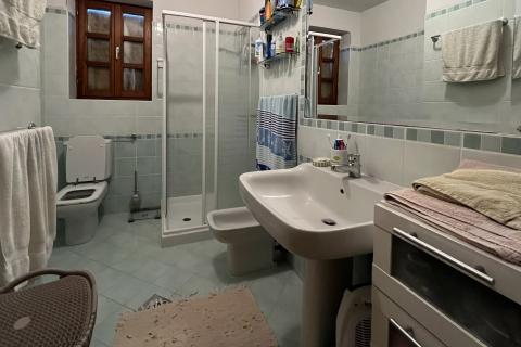 Umag, okolica - Samostojeća kuća na velikoj okućnici od 4 hektara