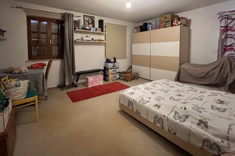 Umag, okolica - Samostojeća kuća na velikoj okućnici od 4 hektara