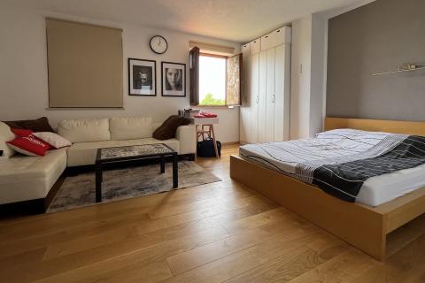 Umag, okolica - Samostojeća kuća na velikoj okućnici od 4 hektara