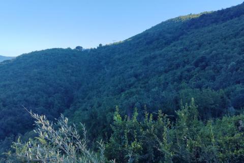 Haus Medveja, Lovran, 92m2