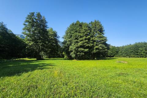 Hiša Brod na Kupi, Delnice, 0m2