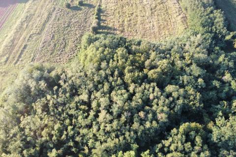 Земельный участок нестроительного назначения Brtonigla, 25.109m2