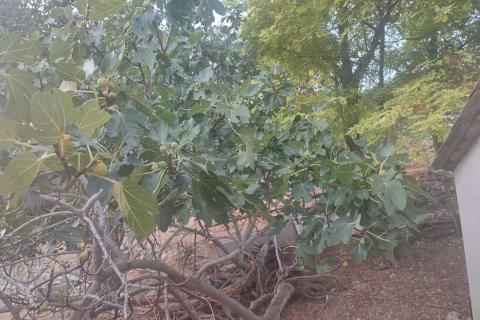 Baška - polj. zemljište 206m2, pogled