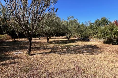 Istria, Visignano, casa con piscina + terreno edificabile