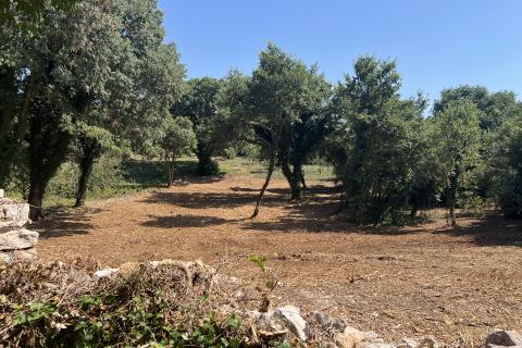 Istra,Pinezići - građevinsko zemljište