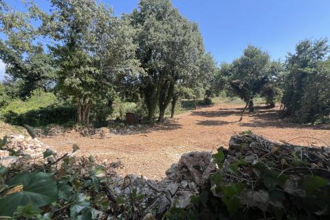 Istra,Pinezići - građevinsko zemljište