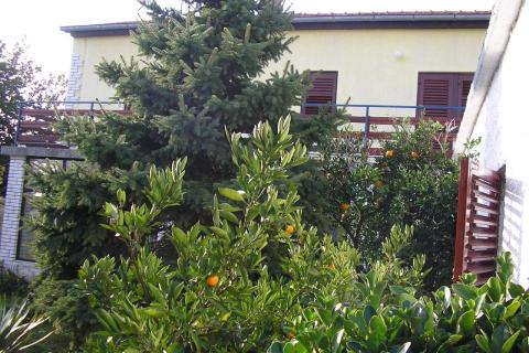 Istra - Fažana - kuća 400m od mora