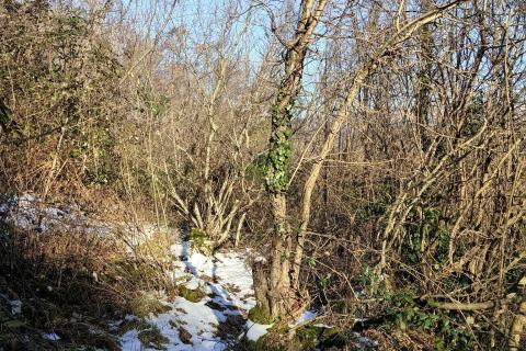 Matulj, Bregi - teren s pogledom