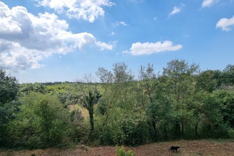 Hiša Šarići, Marčana, 191m2