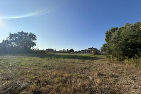 Istra, okolica, lijepo zemljište pred urbanizaciijom