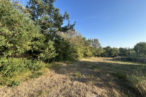 Istra, okolica, lijepo zemljište pred urbanizaciijom