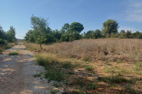 Stavbno zemljišče Kontešići, Sveti Lovreč, 15.987m2